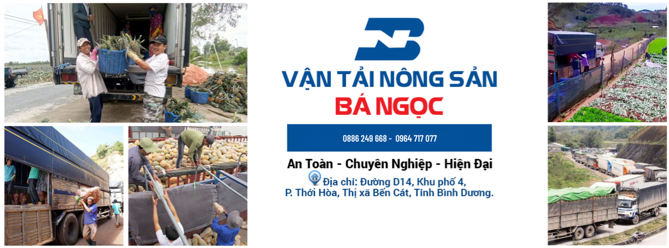 Vận Tải Bá Ngọc